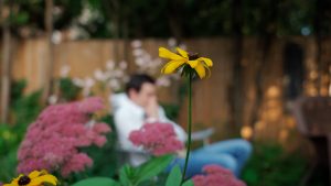 Single Flower